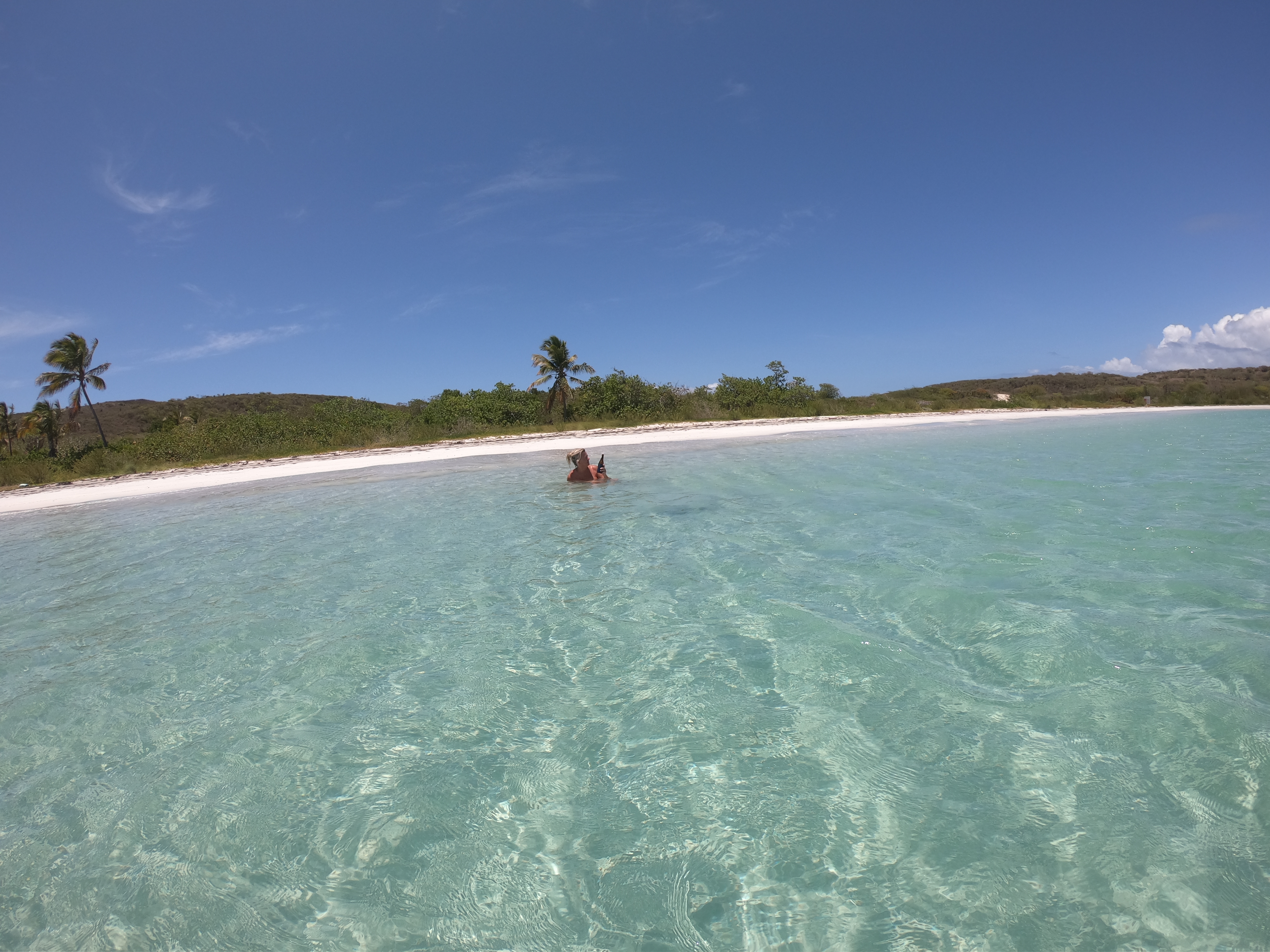 Crystal clear waters on a Vieques snorkeling tour